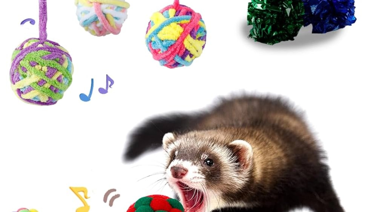 Ferret Ball