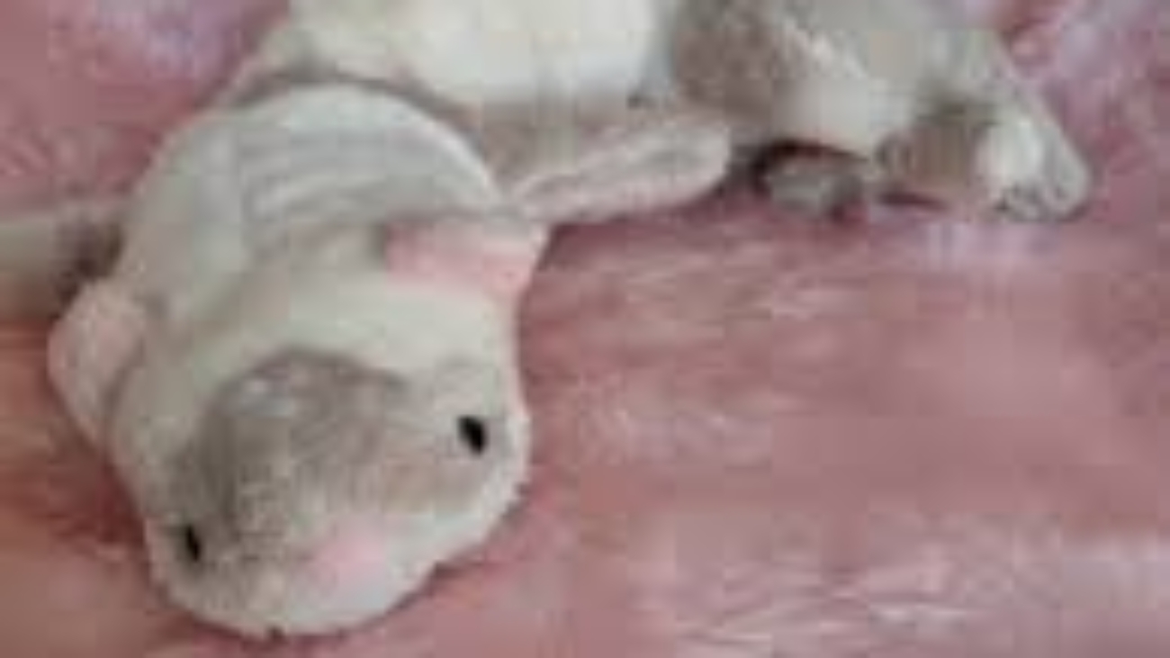 Ferret Stuffed Animal