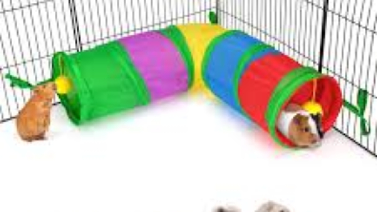 Ferret Tunnel