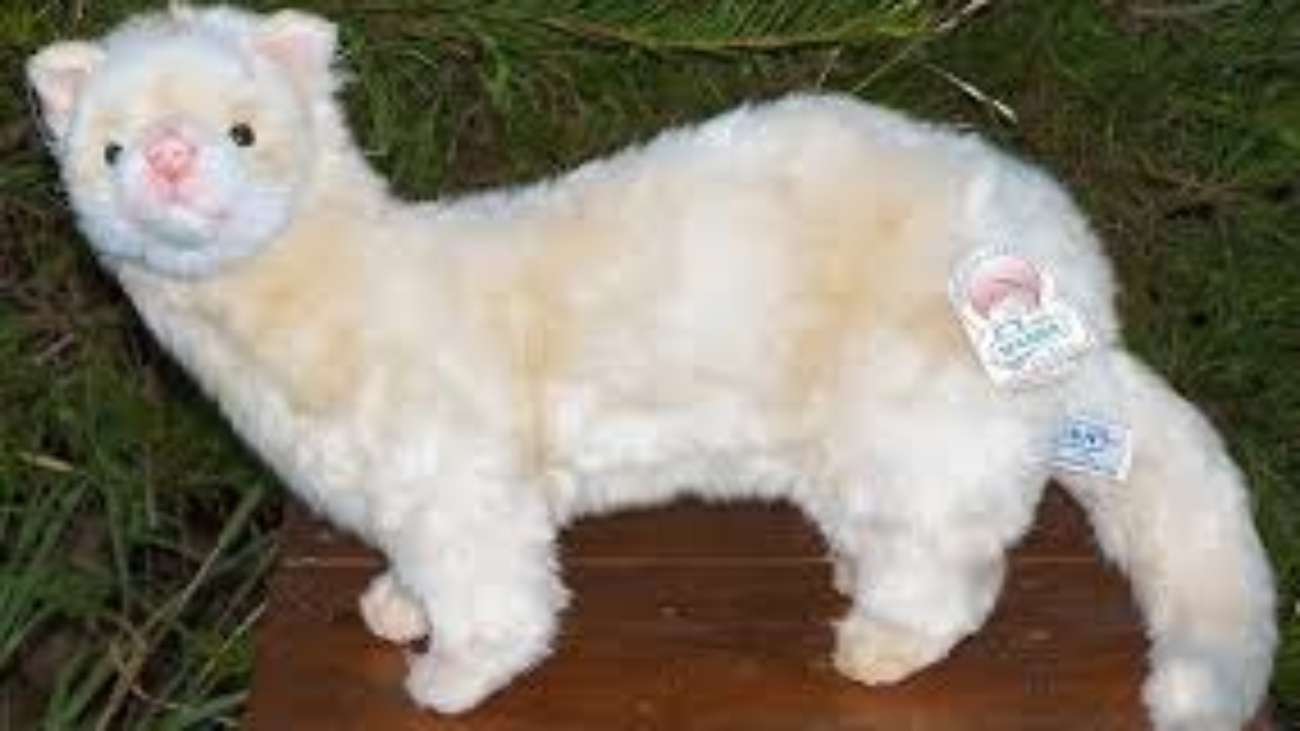 Stuffed Ferret